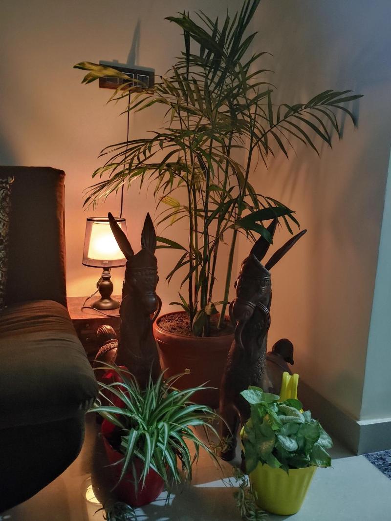 Touristen Holiday Home image