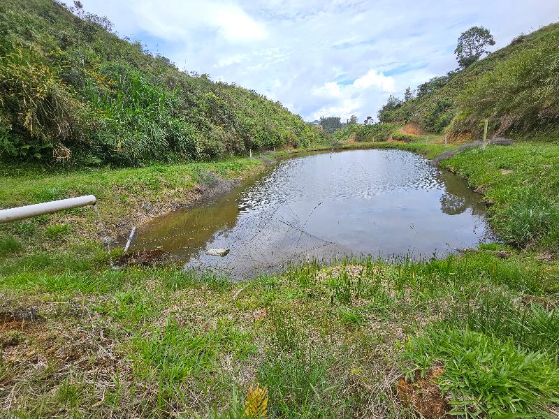 Hostería Brisas Del Río image