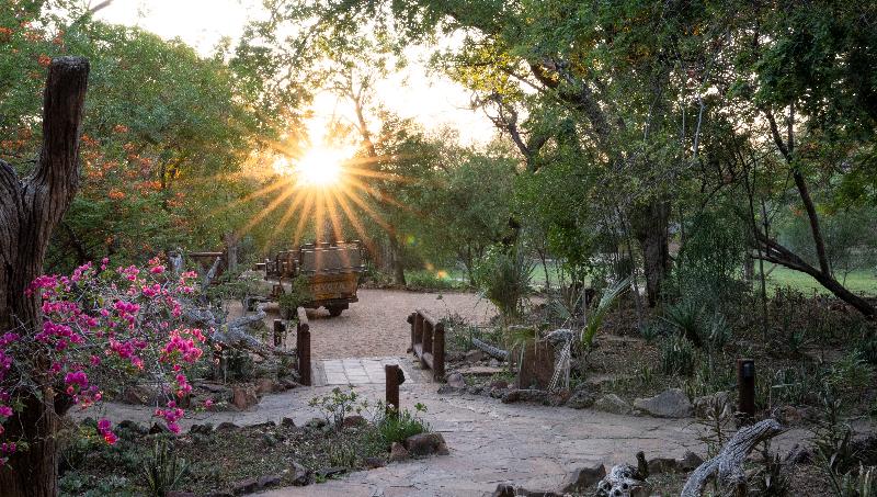 Tuli Safari Lodge Mashatu image