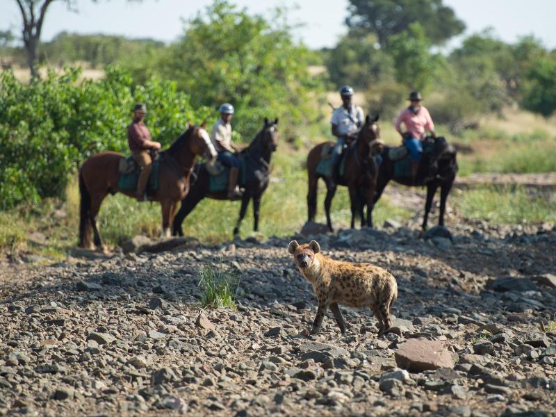 Tuli Safari Lodge Mashatu image
