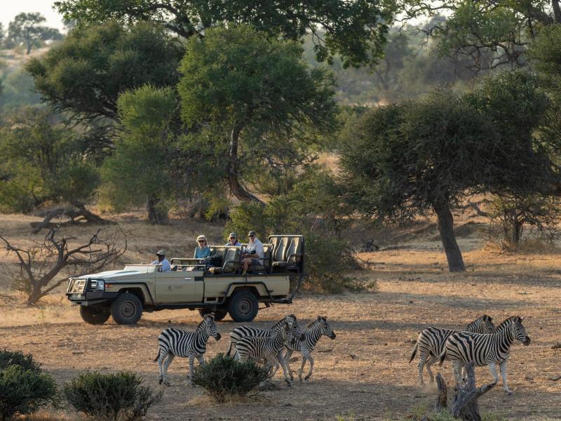 Tuli Safari Lodge Mashatu image