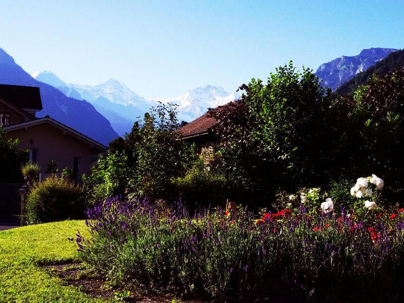 Adventure Hostel image