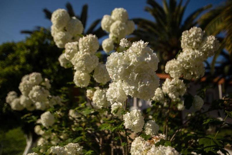 Paradise Village - Image 5