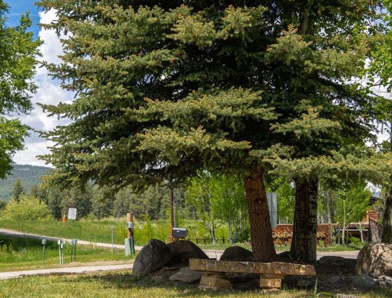 High Creek Lodge Cabins image