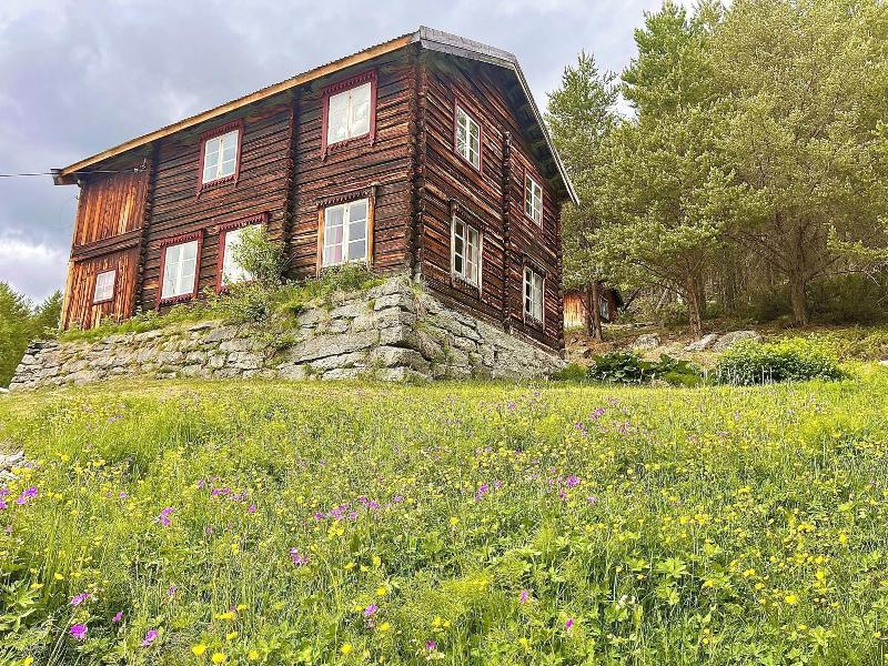 Reinheimen Lodge image