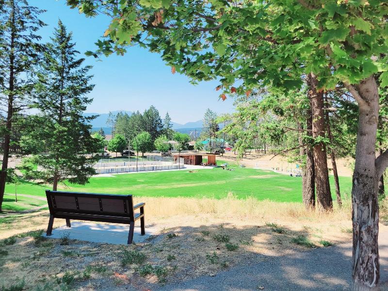 Mountain Springs Motel image