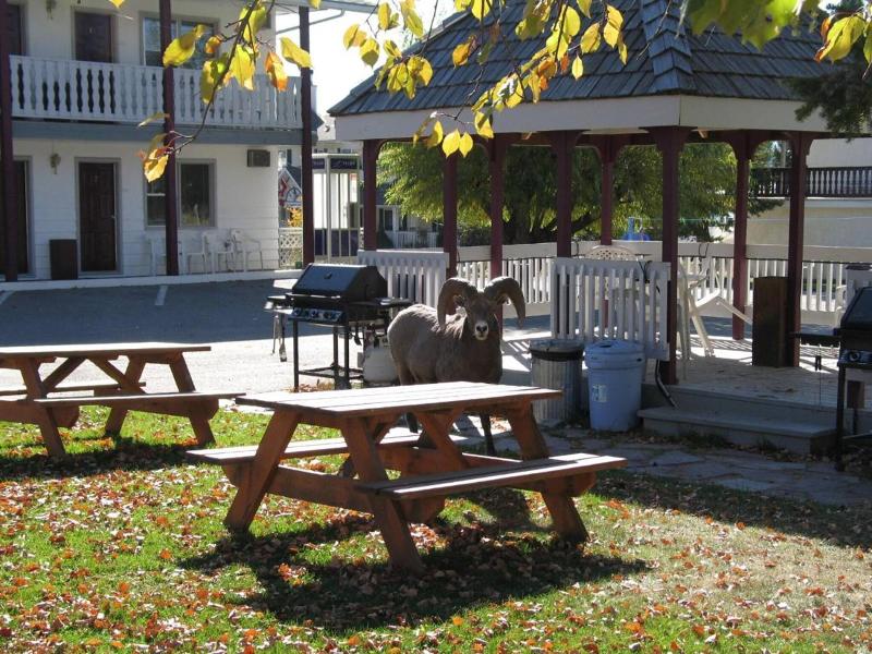 Mountain Springs Motel image