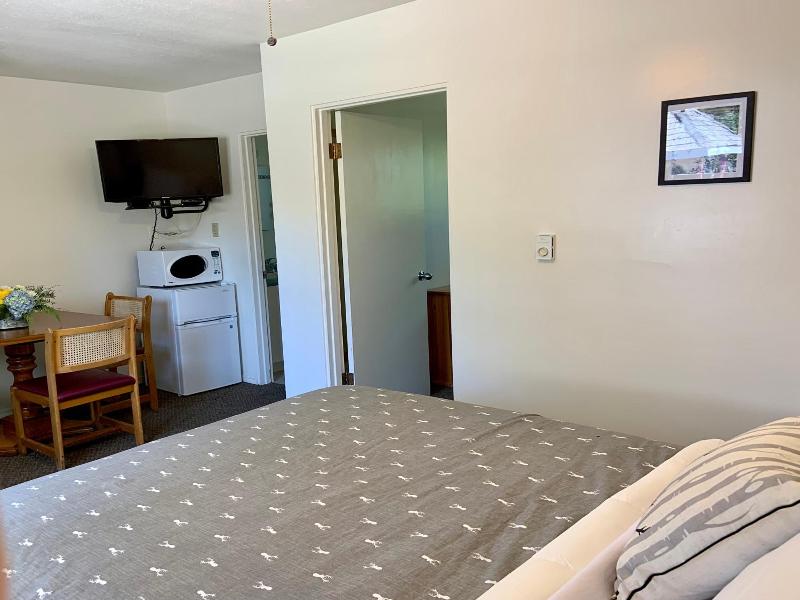 Mountain Springs Motel image