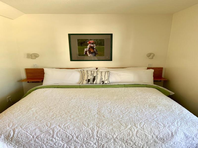 Mountain Springs Motel image