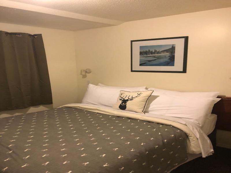 Mountain Springs Motel image
