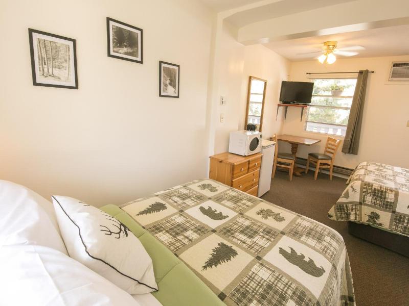 Mountain Springs Motel image