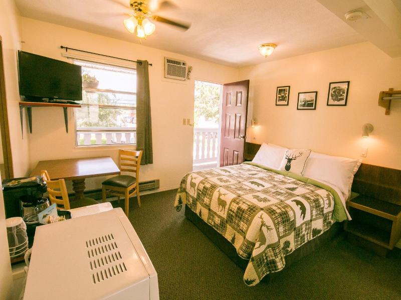 Mountain Springs Motel image