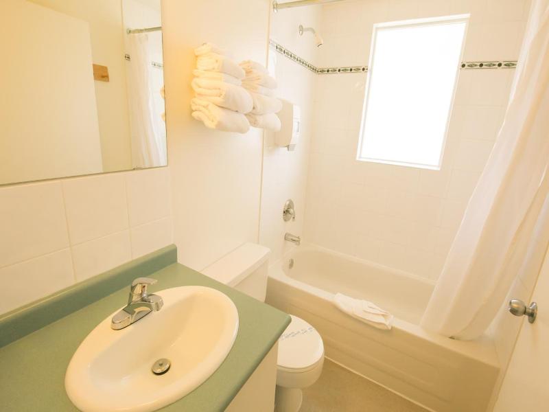 Mountain Springs Motel image