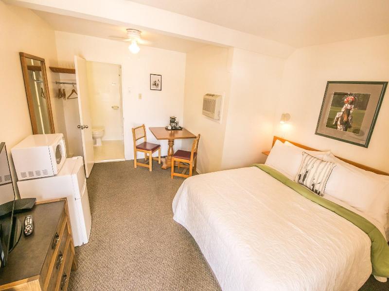Mountain Springs Motel image