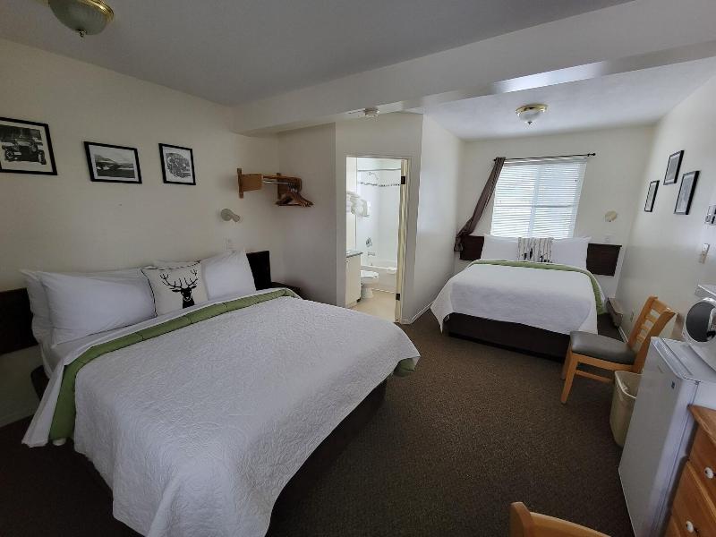 Mountain Springs Motel image