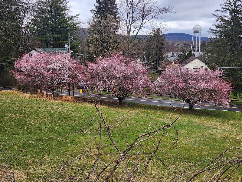 Glenwood Inn Conference Center image