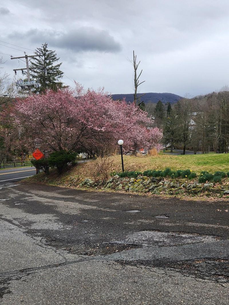 Glenwood Inn Conference Center image
