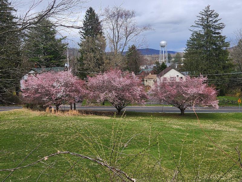 Glenwood Inn Conference Center image