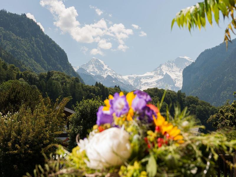 Jungfrau Hotel Annex Alpine Inn image