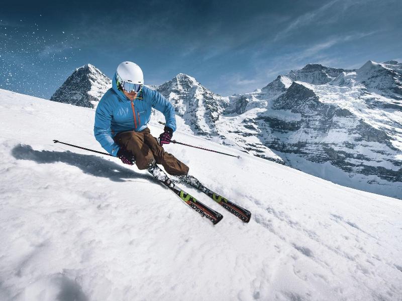 Jungfrau Hotel Annex Alpine Inn image