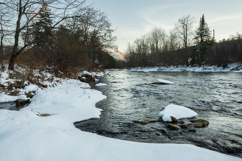 Gale River House - Boutique Hotel  image