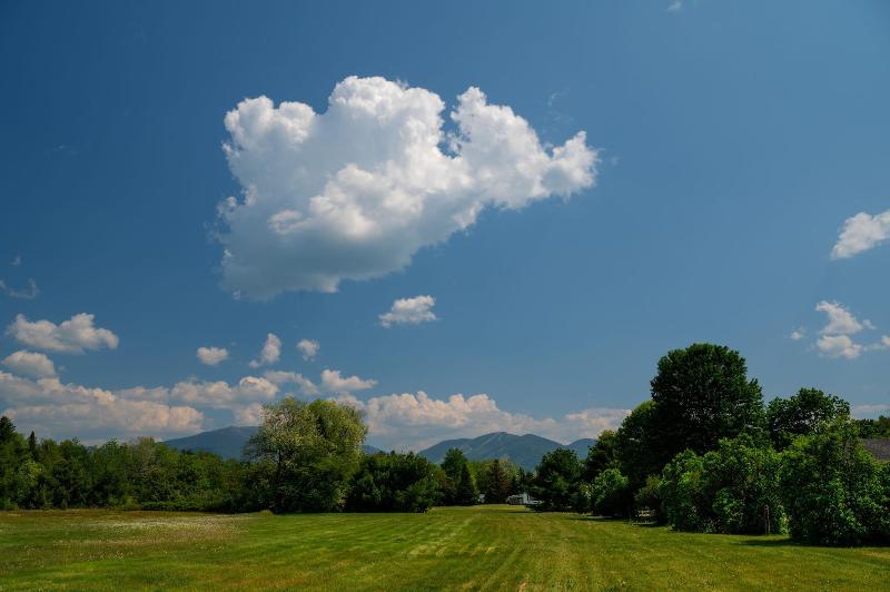 Gale River House - Boutique Hotel  image