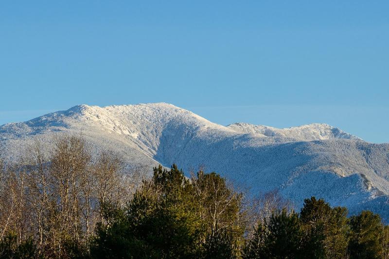 Gale River House - Boutique Hotel  image