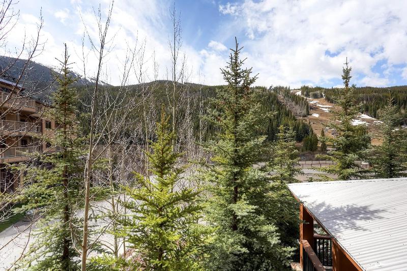The Springs Condos By Keystone Resort image