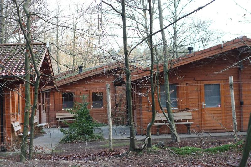Lodges Veluwse Poort image