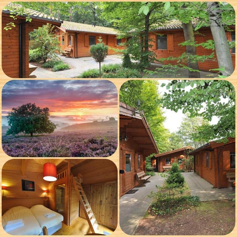 Lodges Veluwse Poort image