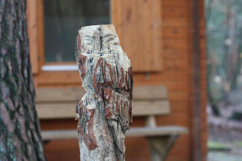 Lodges Veluwse Poort image