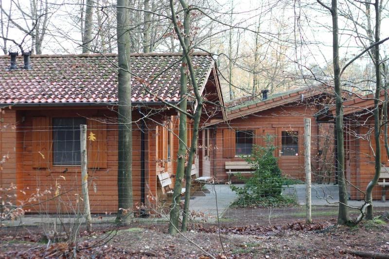 Lodges Veluwse Poort image