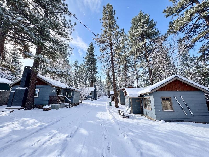 Fox N Bear Cottages image