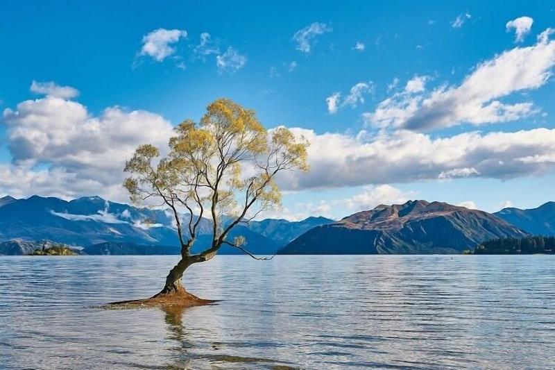 Hampshire Holiday Parks Wanaka image