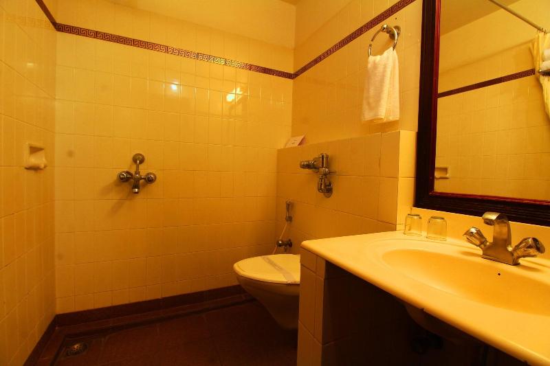 Hotel Sopanam Heritage image