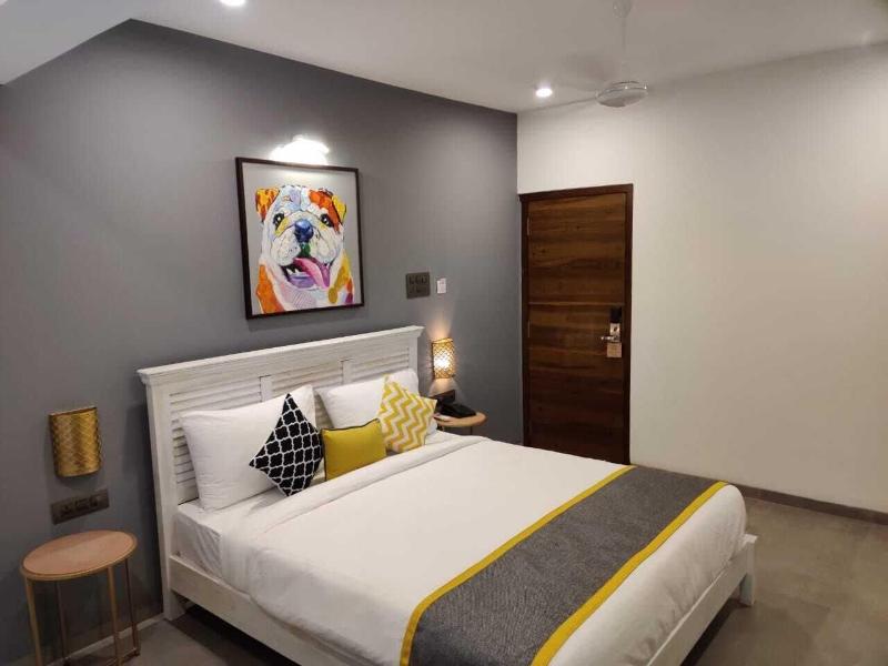 The Bark- An Art Hotel image