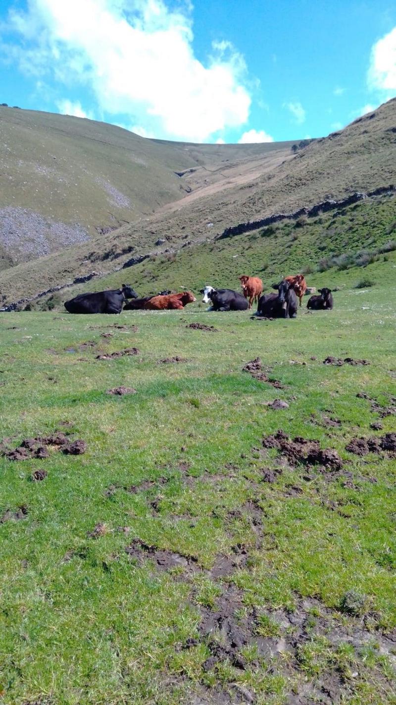 Casa Rural Costalisa image
