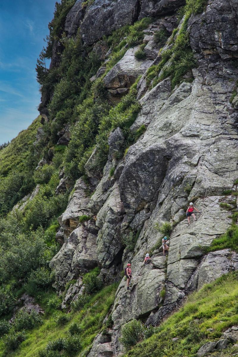 Alpinhotel Monte image