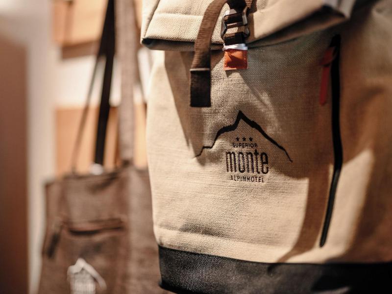 Alpinhotel Monte image