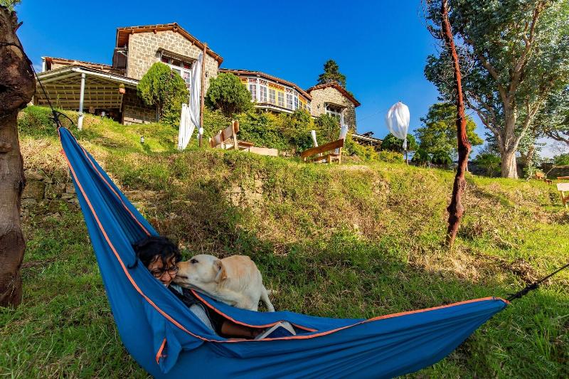 Zostel Kodaikanal - Hostel image