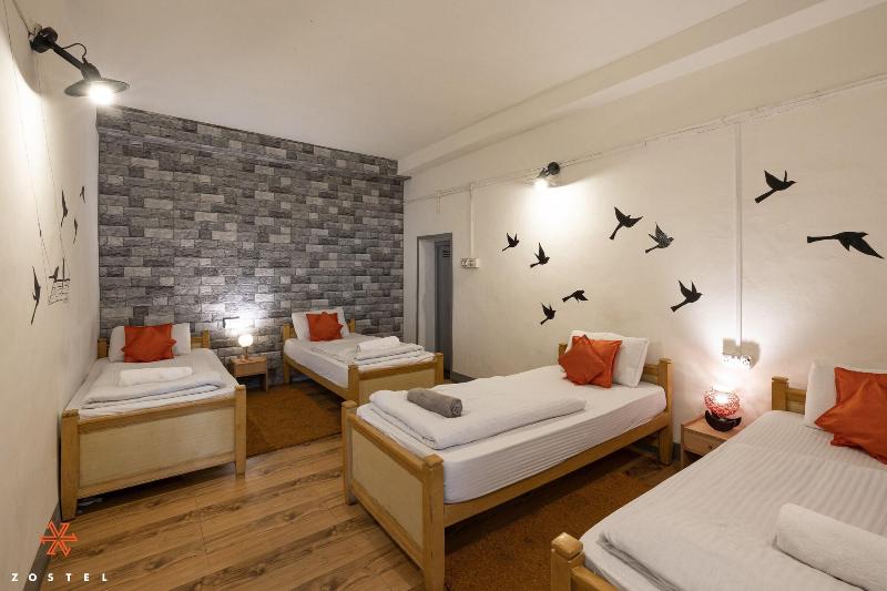 Zostel Kodaikanal - Hostel image