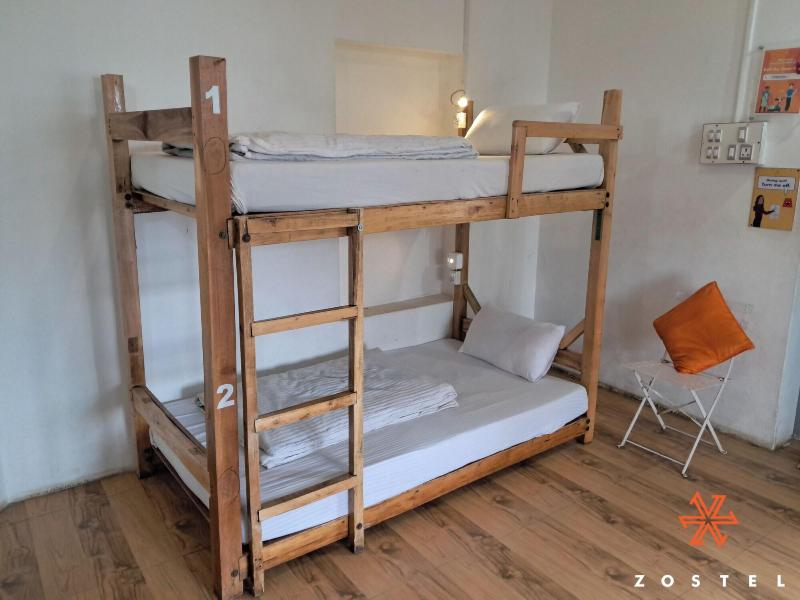 Zostel Kodaikanal - Hostel image