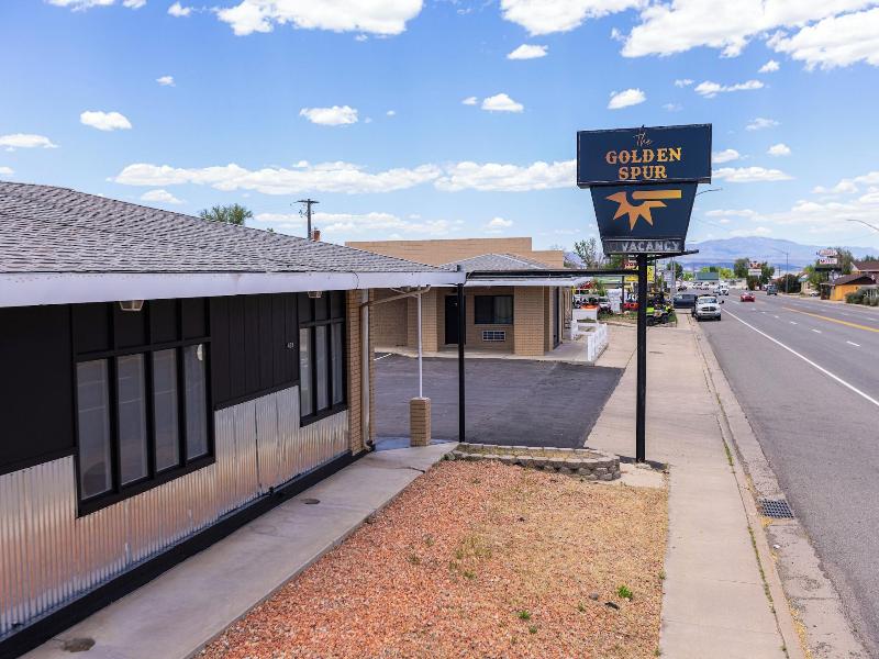 The Golden Spur image
