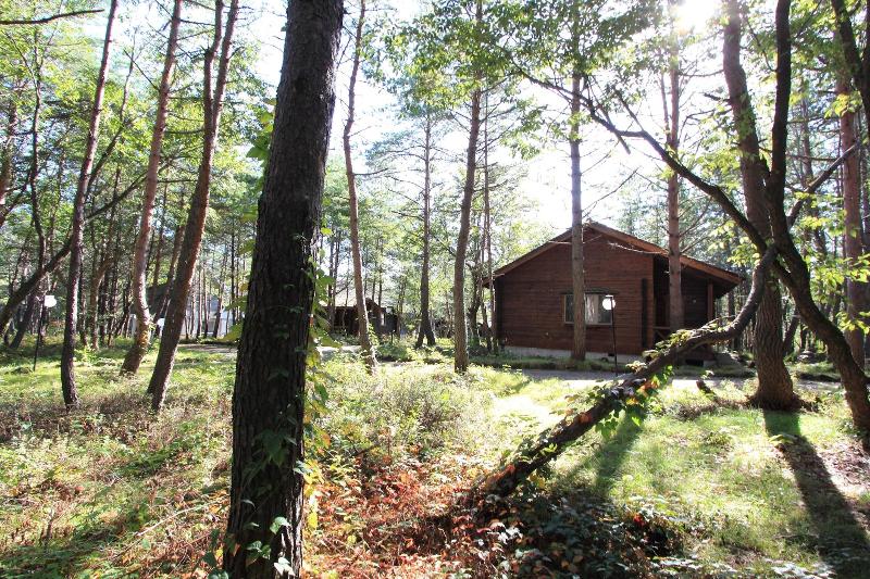 Holiday Villa Hotel & Resort Karuizawa image