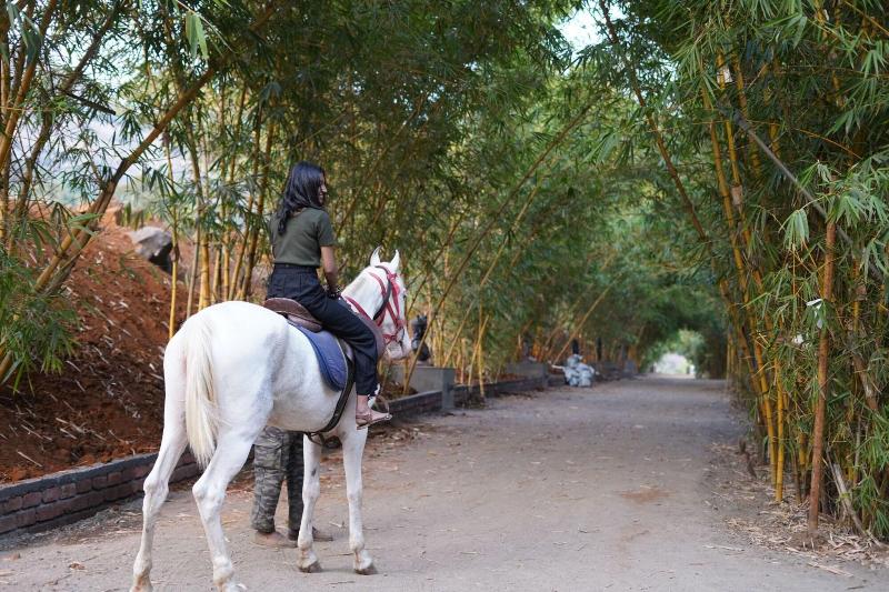 Malhar Machi Mountain Resorts image