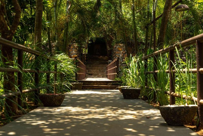 Malhar Machi Mountain Resorts image