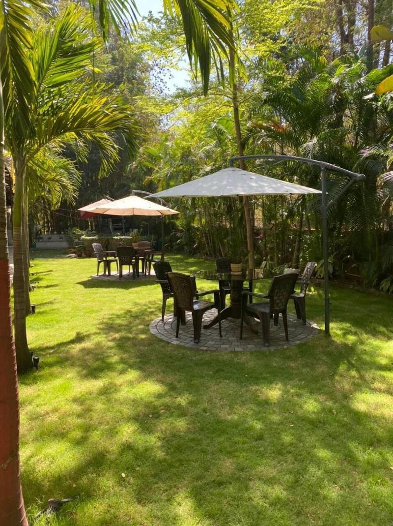 Royal Palms image