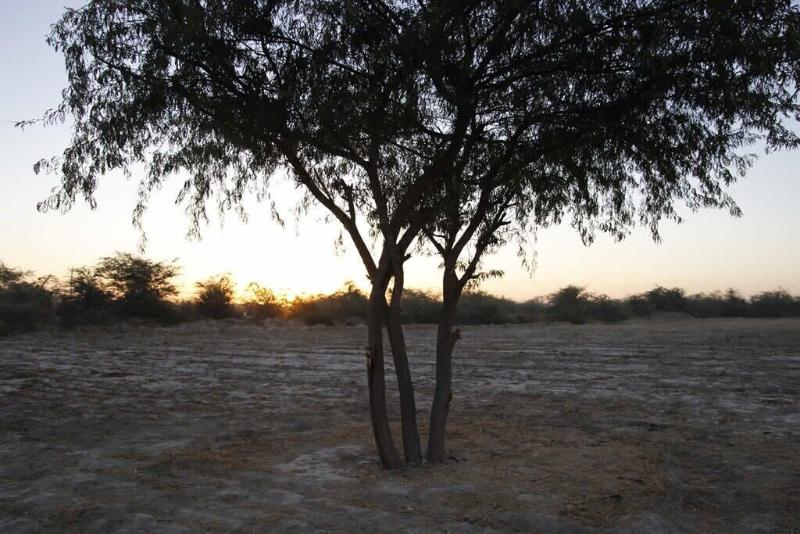 Rann Visamo Village Resort