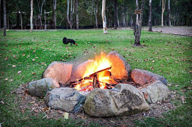 Airlie Beach Eco Cabins - Adults Only image