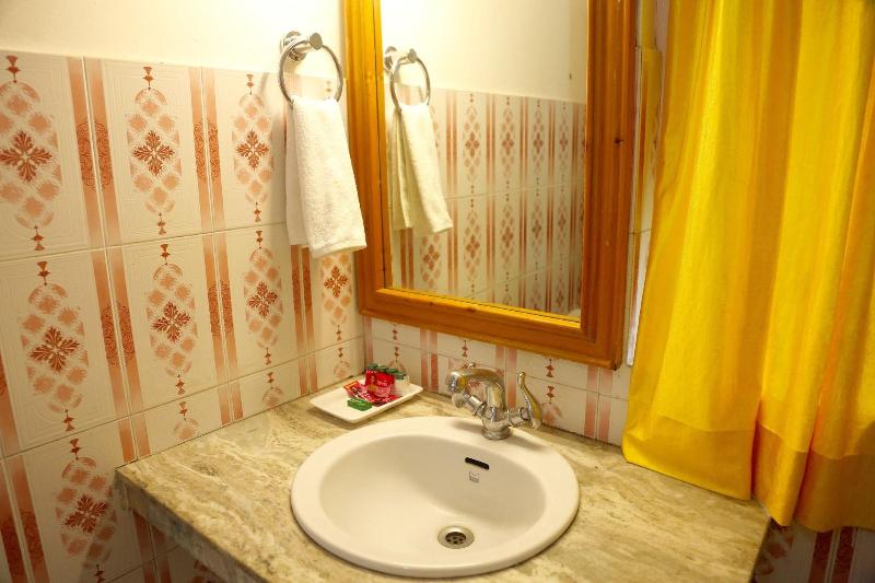 Hotel Rishi Palace image
